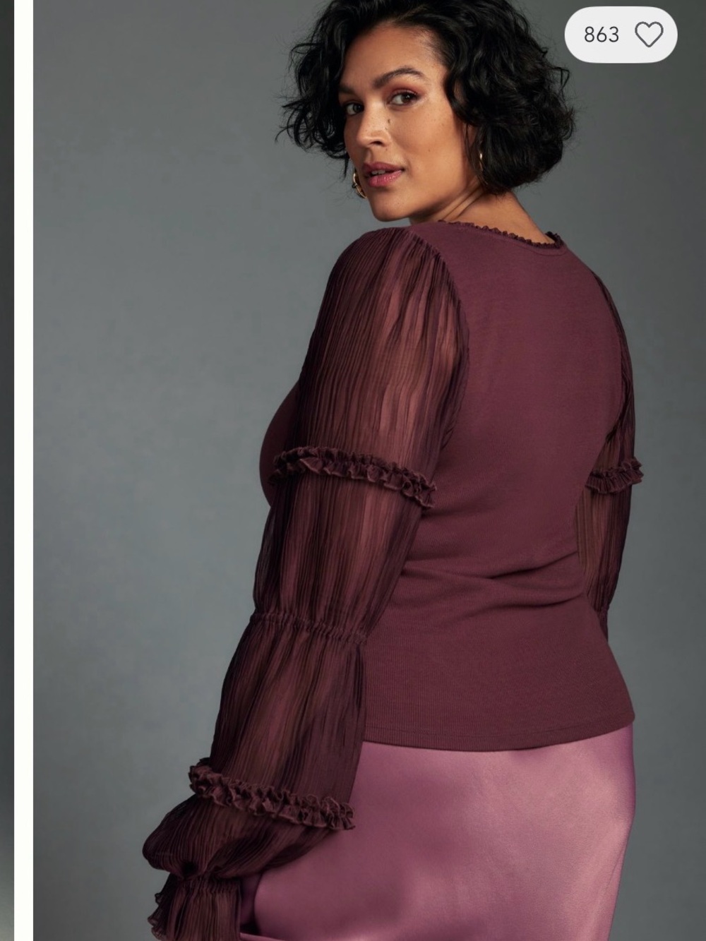 Anthropologie Plum Long-Sleeve Ruffle Mesh Top Sz XS - Picture 2 of 3